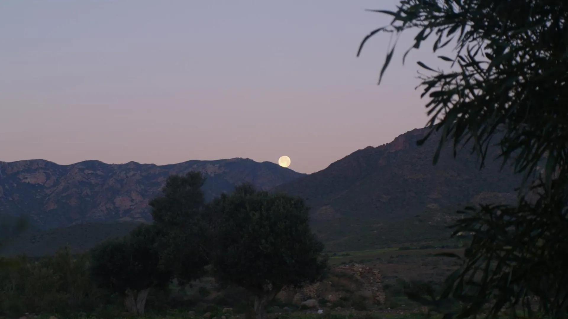 Hotel Los Patios - Parque Natural Rodalquilar Spain